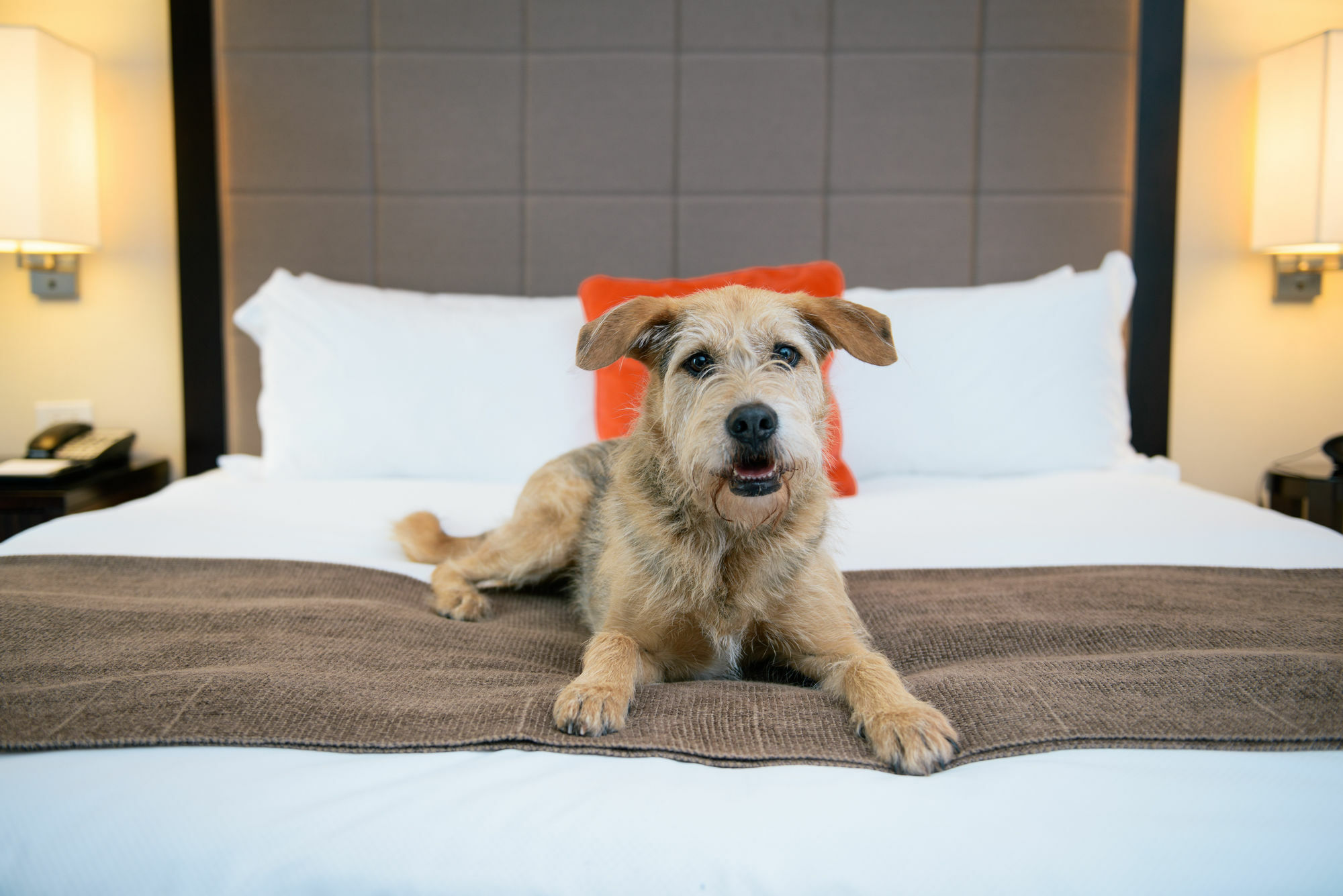 Candlewood Suites - Bluffton-Hilton Head By Ihg Ngoại thất bức ảnh
